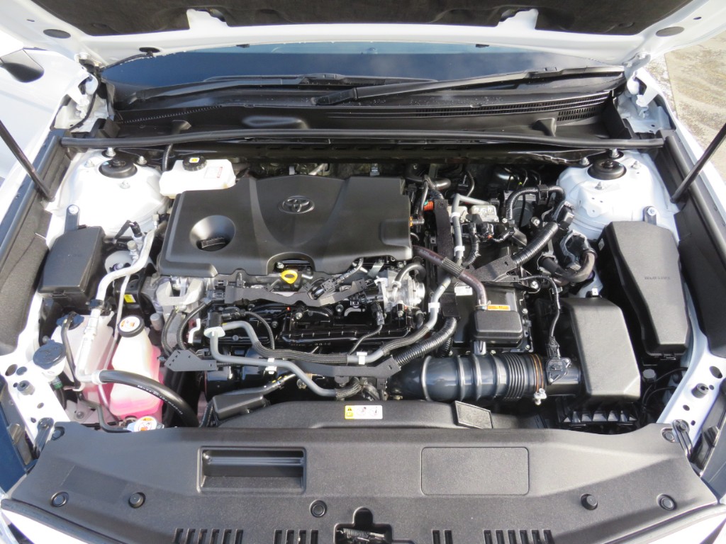 S8109920.jpg