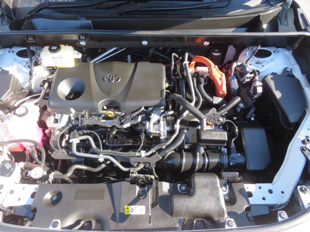 S8110720.jpg