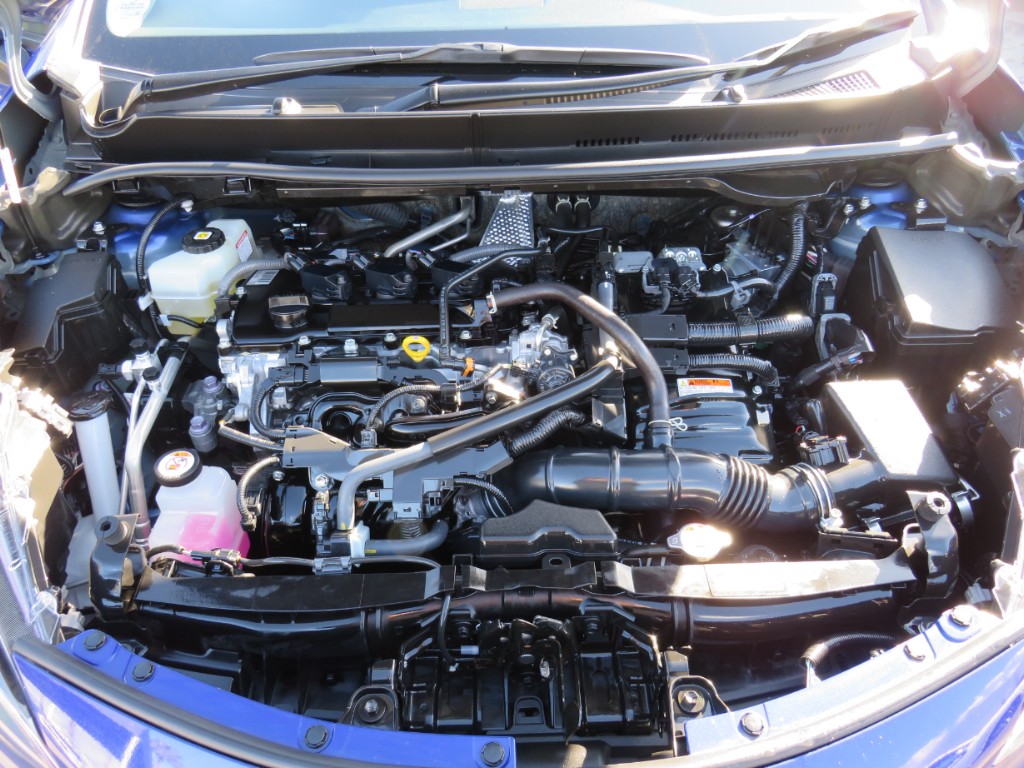 S8111819.jpg