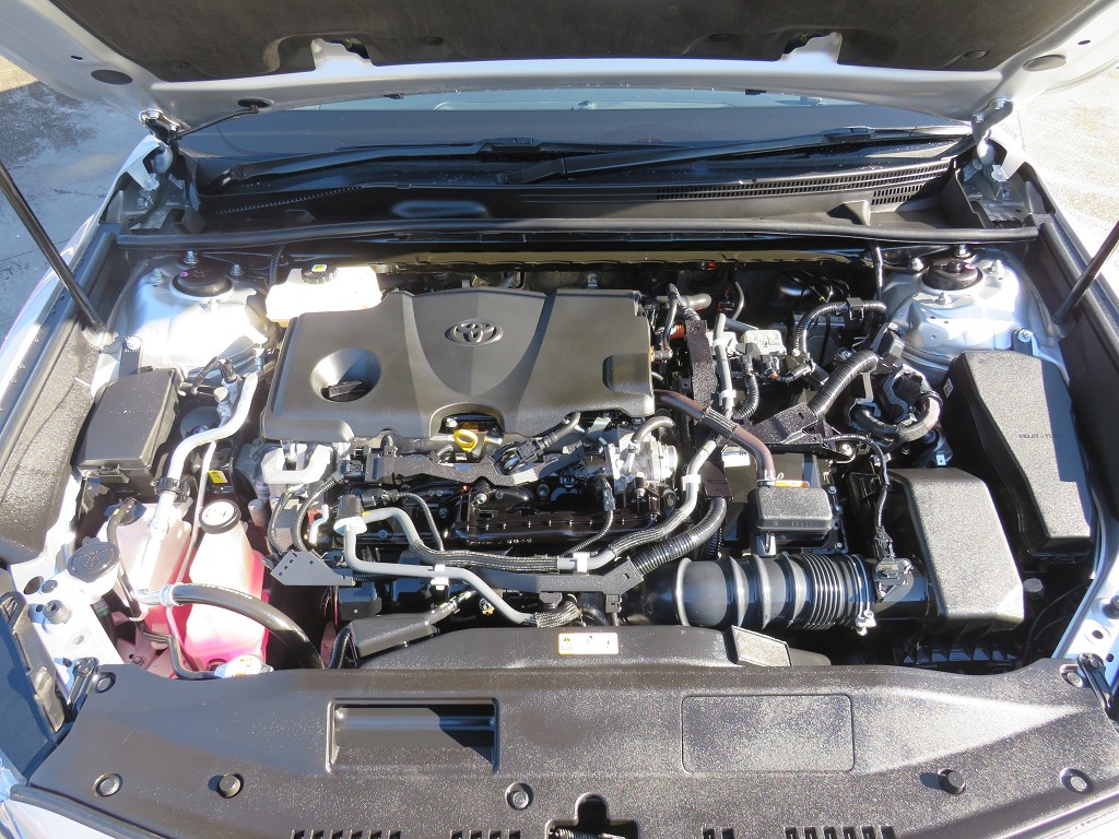 S8112020.jpg