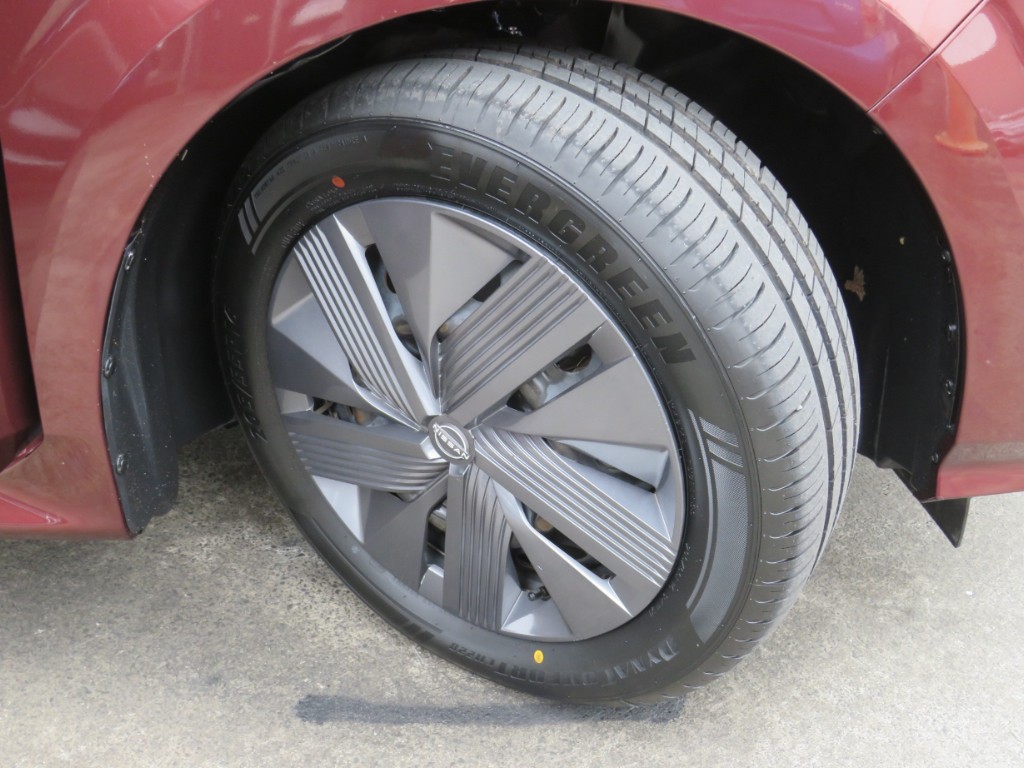 S8112512.jpg