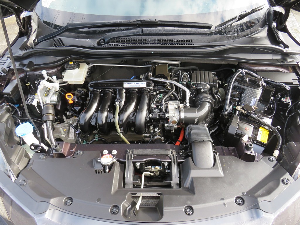 S8113420.jpg