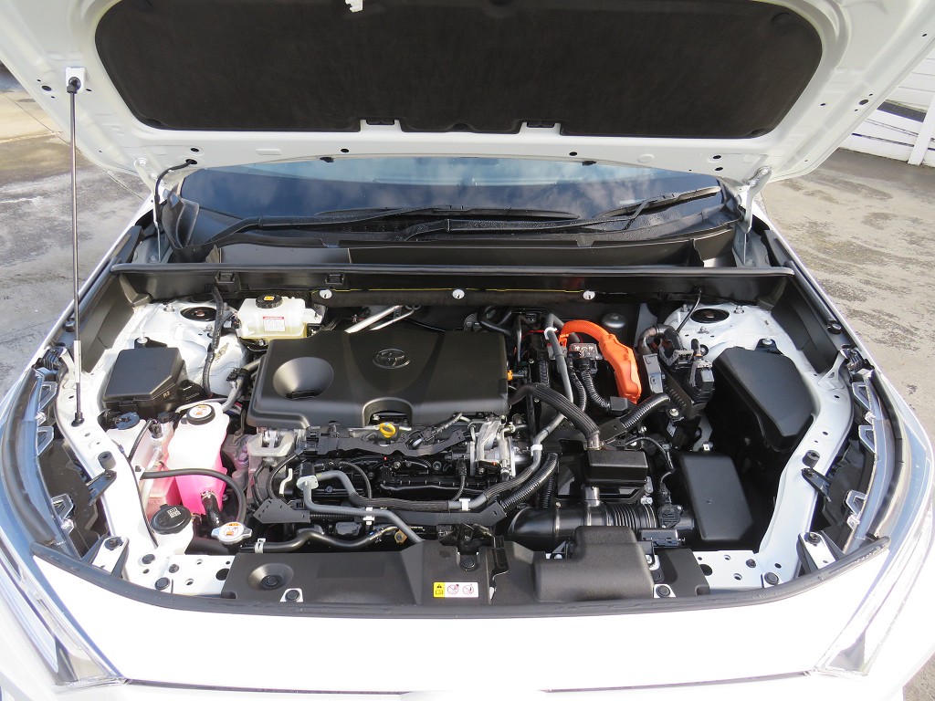 S8114319.jpg
