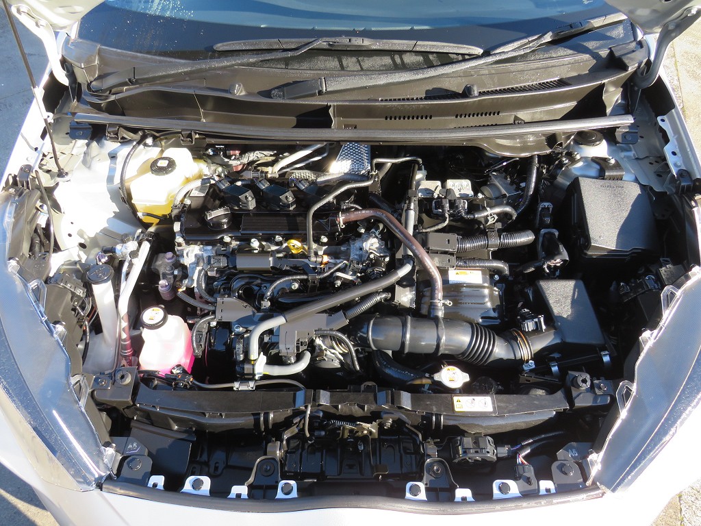 S8114419.jpg