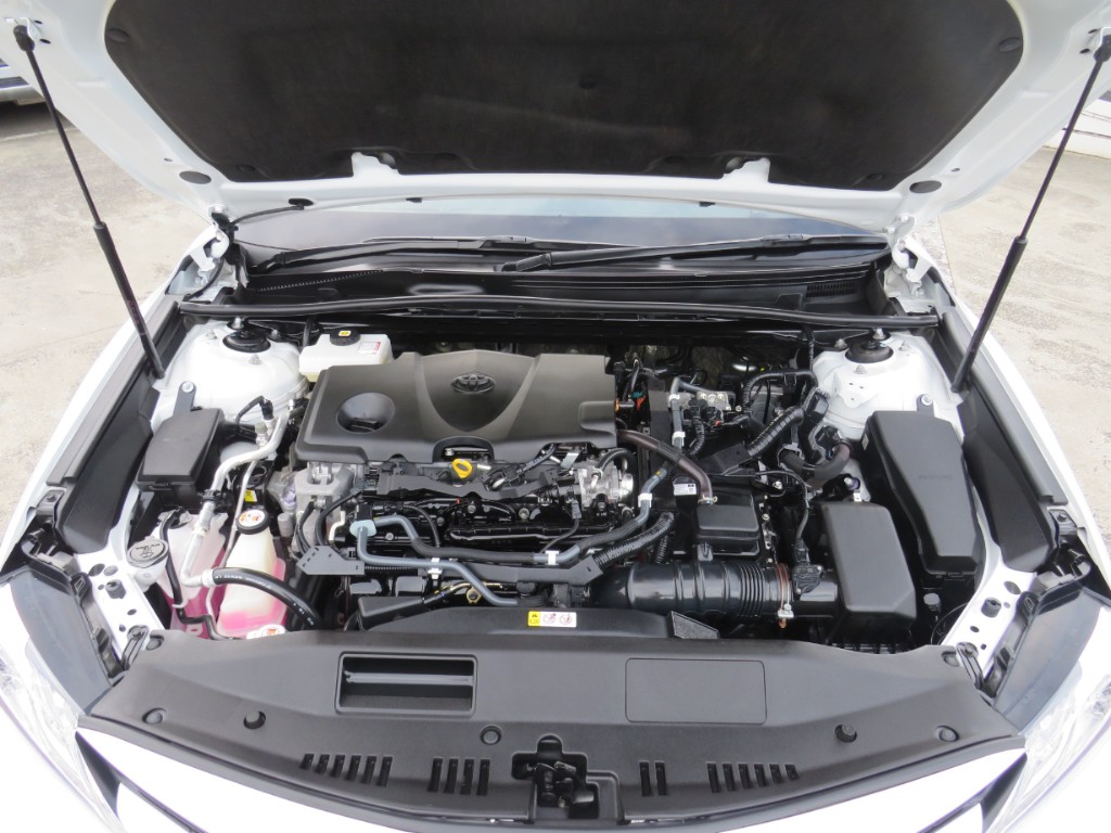 S8116219.jpg