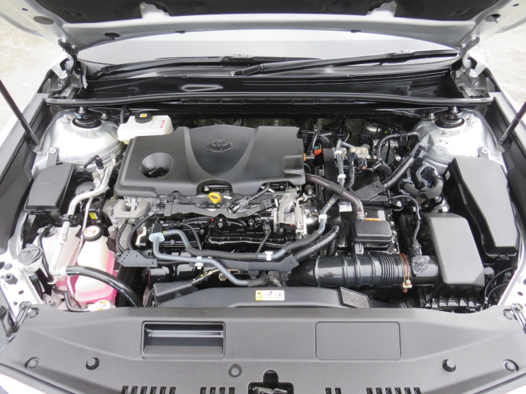 S8116320.jpg