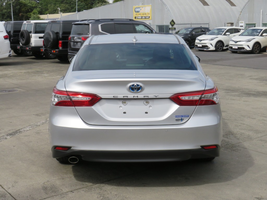 S811636.jpg