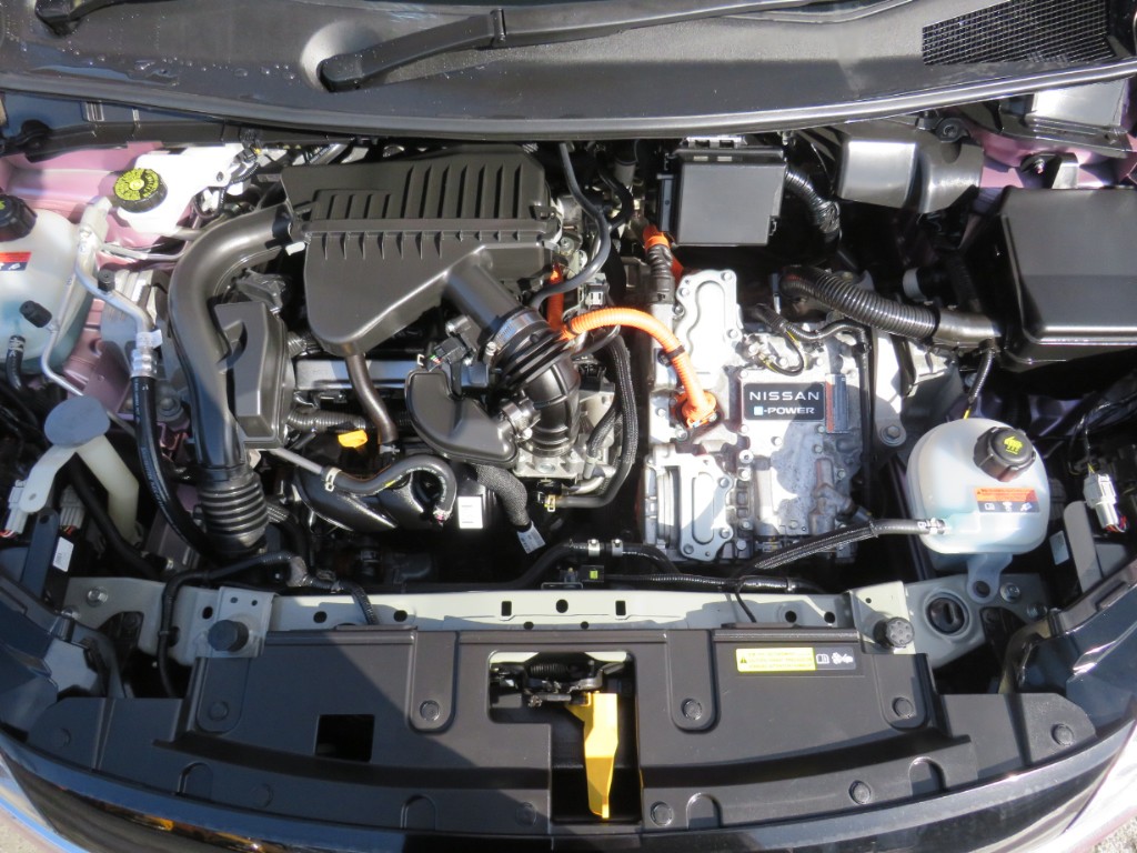 S8117019.jpg