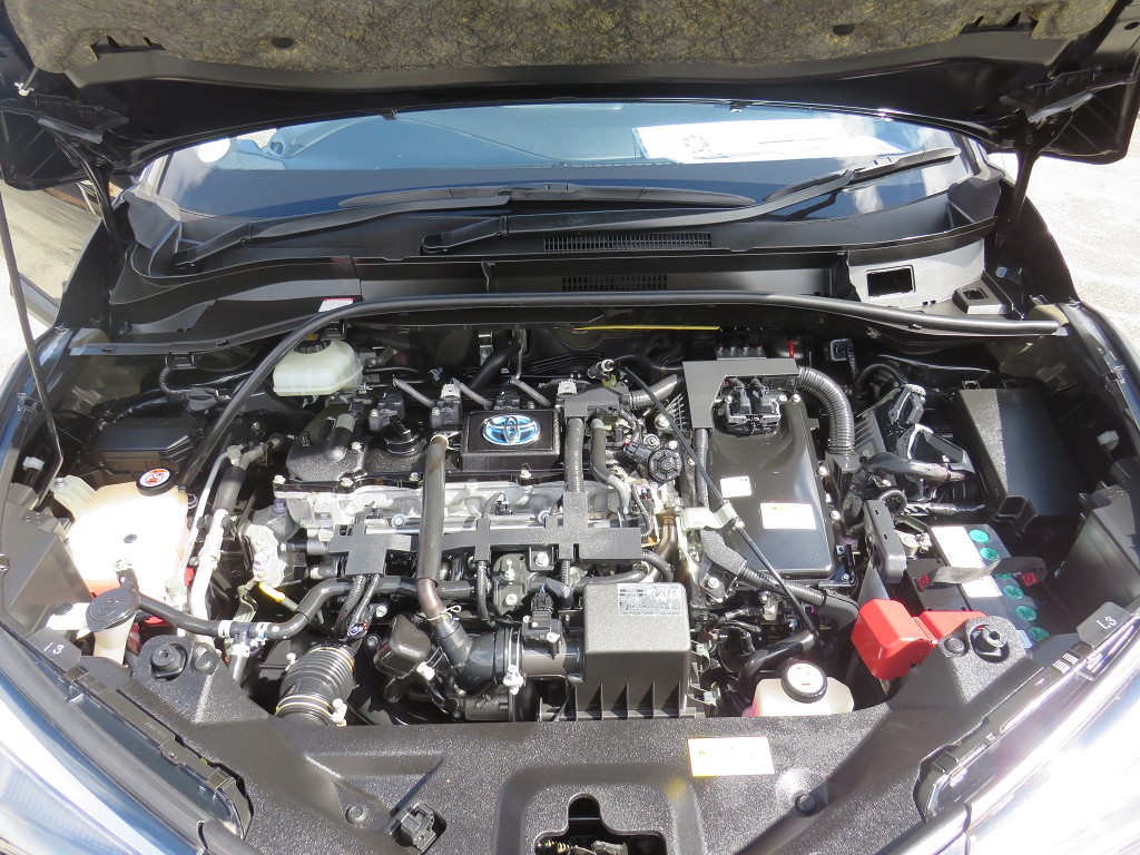 S8117219.jpg