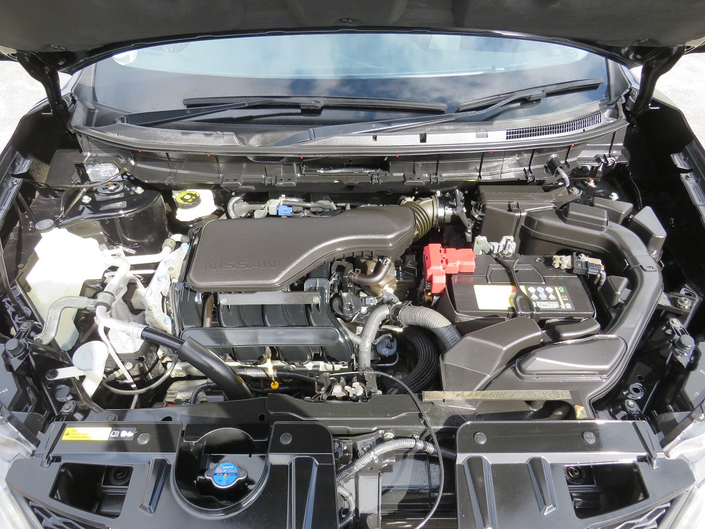 S8117920.jpg