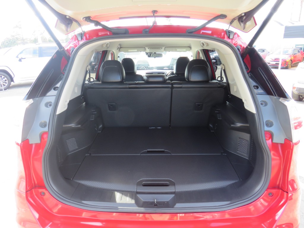 S8119010.jpg