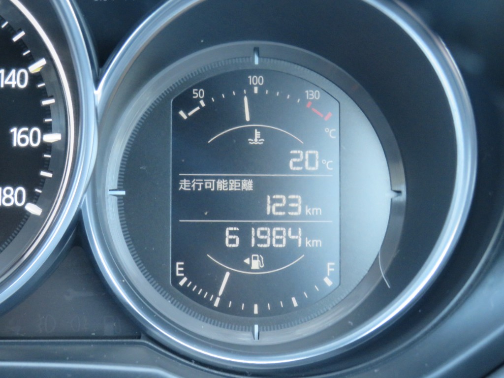 S8119519.jpg