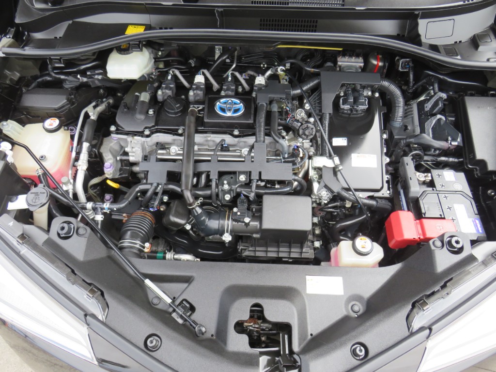 S8121019.jpg