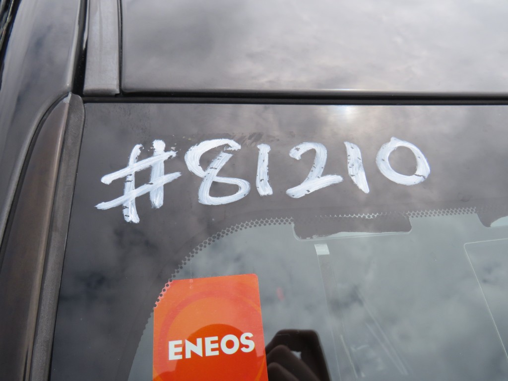 S8121020.jpg