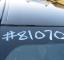 S8107020.jpg